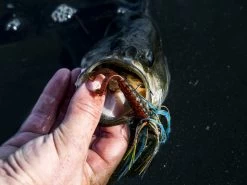 Z-Man Midwest Finesse Swim Jig -Angling Best Sale lifestyle midwestfinesseswimjig zman bluegill 3